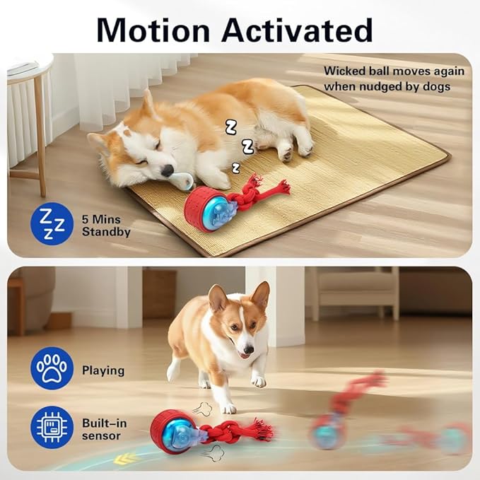 Interactive Dog Toys with Motion Activated, Squeaky Dog Toy Active Rolling Ball Wicked Ball for Daily Training, USB Rechargeable, Wicked Balls