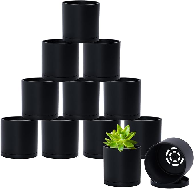 D'vine Dev 12 Pack 3 Inch Mini Plastic Plant Pots, Small Garden Planters for Plant with Drainage Holes and Saucers, Black Color, 74-Y-C-4
