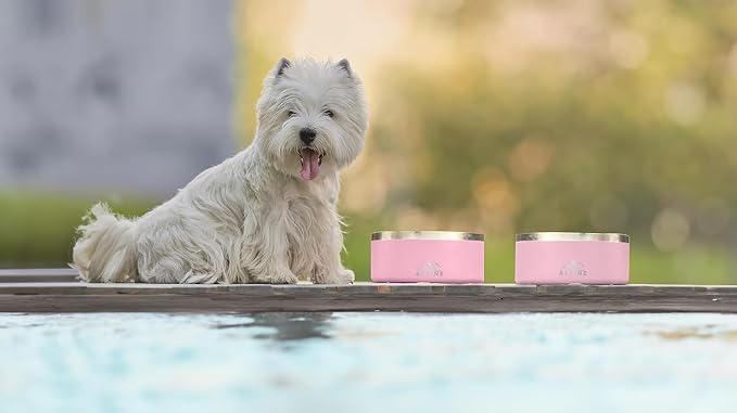 ALPINE Set of 2 Stainless Steel Dog Bowls, Non Slip, Metal Pet Bowl for Food and Water, Double Walled Insulated, Rustproof, Dishwasher Safe (32 oz, Navy)