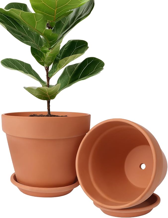 INGOFIN Terracotta Pot Set of 2 with Saucer - 10 Inch Ceramic Clay Pot for Plants with Drainage Hole, Large Terra Cotta Flower Planter with Tray for Indoor Outdoor Plants