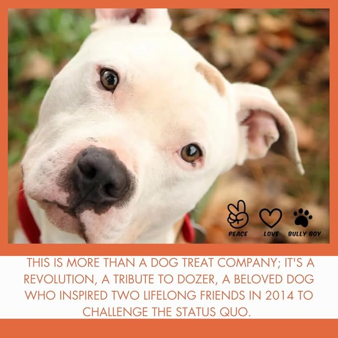 Bully Boy's Famous Chicken Training Nibs Dog Treats | Free from Wheat, Corn, Soy, or Gluten | USA Sourced Ingredients | with Smokehouse Chicken | Made in Utah | 7 oz - 3 Pack