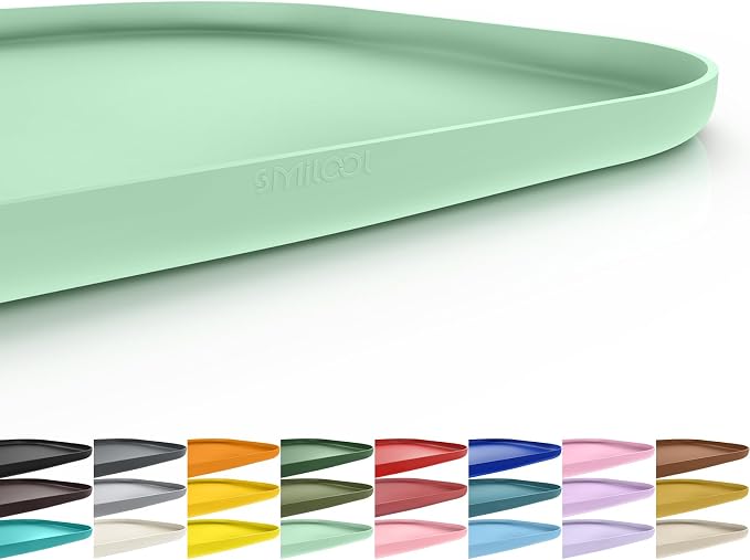 SMILOOL Waterproof Silicone Pet Food Mat with Raised Edge for Dog & Cat | 19" x 12" Non-Slip Pet Feeding Mats with Lip for Food & Water Bowl, Food Grade, Easy Cleaning, Mint Green