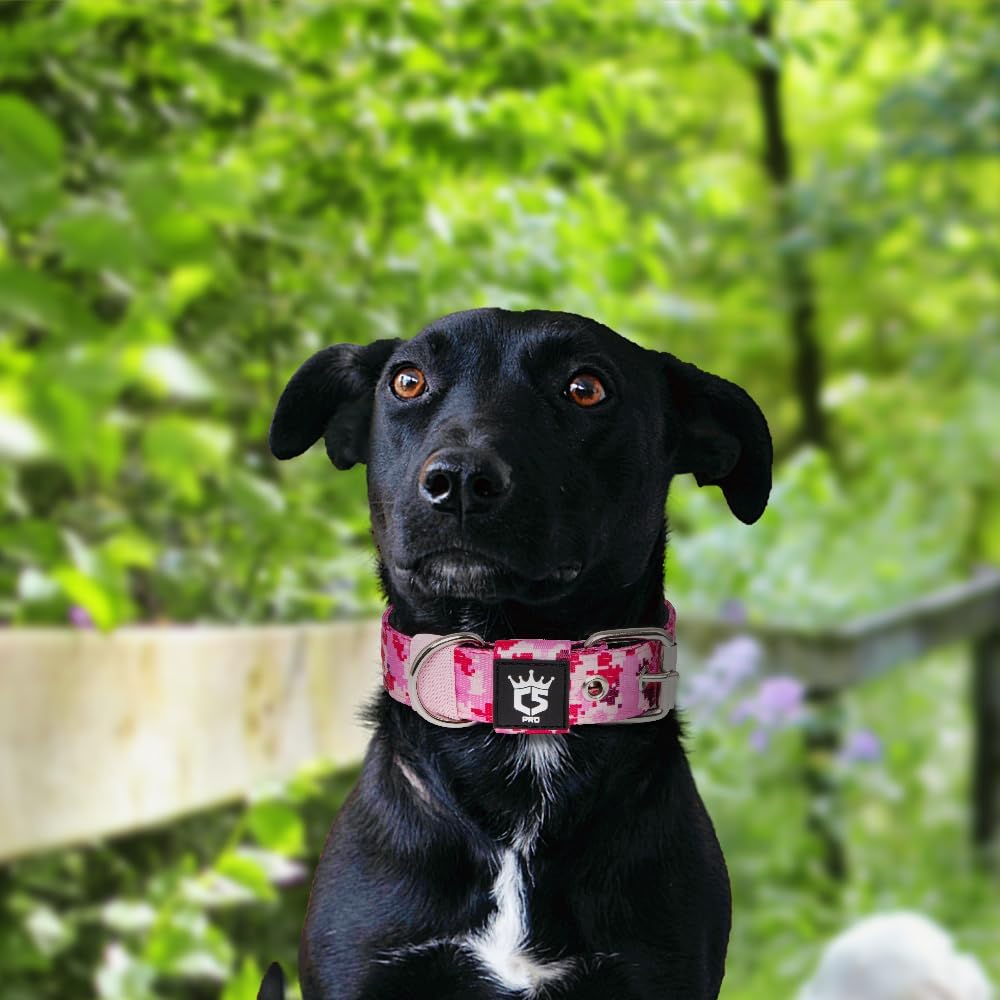 TSPRO Tactical Dog Collar 1.25 Inch Wide Thick Dog Collars with Heavy Duty Metal Buckle, Durable, Strong, Adjustable for Small Dogs (Camo Pink S)