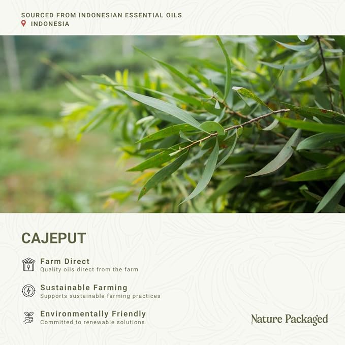Cajeput Essential Oil