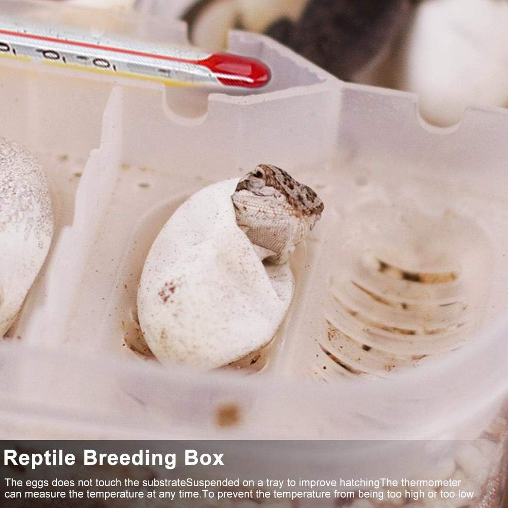 Zerodis Reptile Breeding Box, Plastic Incubator with Transparent Lid for Hatching Gecko, Lizards, Lions Mane, Reptiles
