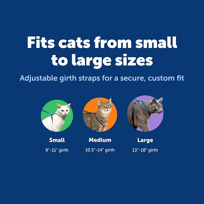 PetSafe Come with Me Kitty Harness and Bungee Cat Leash, Royal Blue, Medium | Adjustable 2-Point Fit Applies Gentle Pressure to Shoulders, Not Neck, for Small & Average Cats with 10.5 in - 14 in Girth
