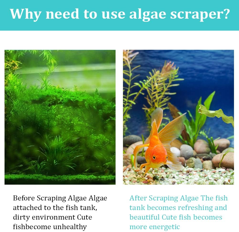 ZRDR Stainless Steel Algae Scraper Aquarium Cleaning Tool for Glass Aquariums, Including Algae Scraper, Sponge Pad, Fish Net, Cleaning Brush, Adjustable Length, Durable, Does Not Hurt The Fish Tank
