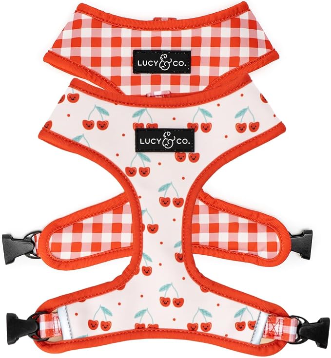 Lucy & Co. Cheery Cherries, Cute Reversible Dog Harness Walking Halter - Best Designer Pet Harnesses for XS - XL Dogs - Padded Adjustable Vest for Easy Walking (Small)