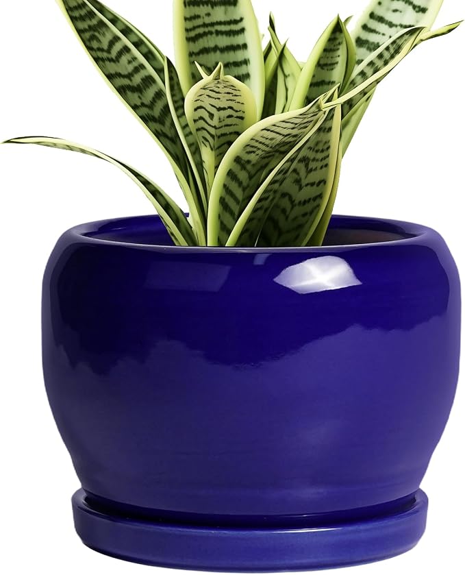 SQOWL Ceramic Planters for Indoor Plants - 6 Inch Plant Pot with Drainage Hole and Saucer, Round Small Planter, Modern Decorative Flower Pot Outdoor, Living Room Decor, Garden Gifts for Women, Blue