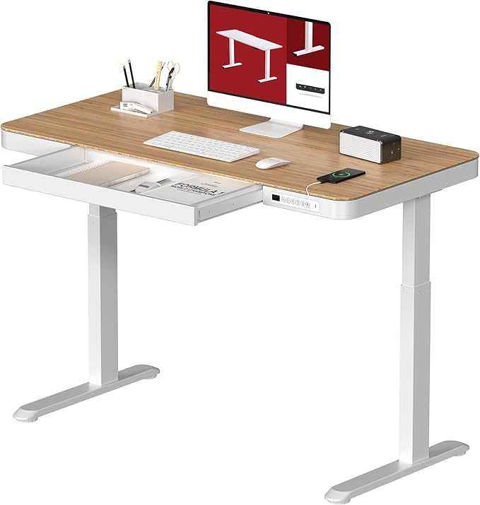 Standing Desk with Drawer, Electric Height Adjustable Home Office Desk with