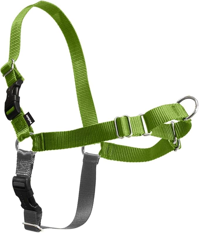 PetSafe Easy Walk Harness for Dogs - Pull-Free Walks - Patented Martingale Loop Design - Front Chest Leash Attachment - Comfort Straps - Breathable Harness Design - Large, Apple Green/Gray | Patented Martingale Loop Gives Gradual Shoulder Pressure to S...