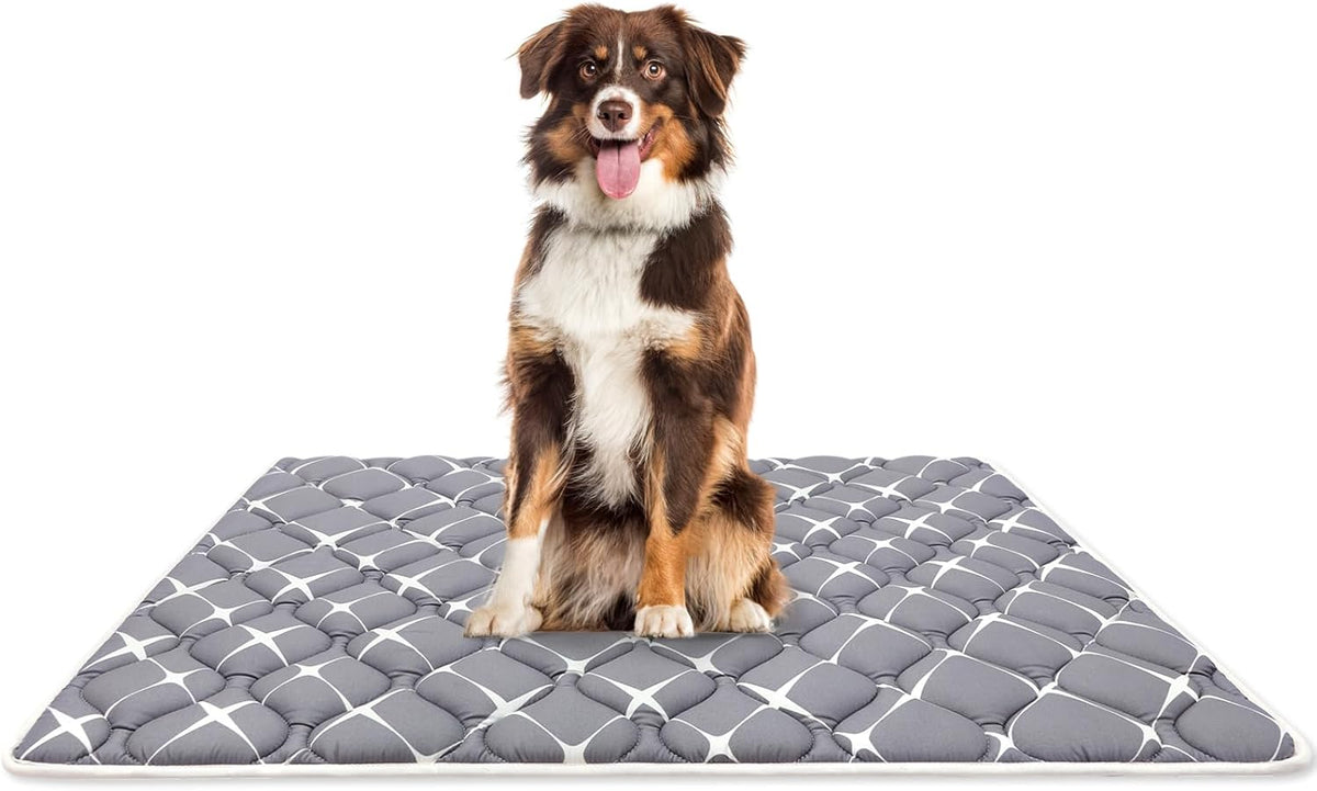 Bubble bear Dog Crate Mat - Ultra Soft, Washable & Anti-Slip Kennel Pad for Small/Medium/Large Dogs, Dark-Hued to Hide Stains (59"x35")