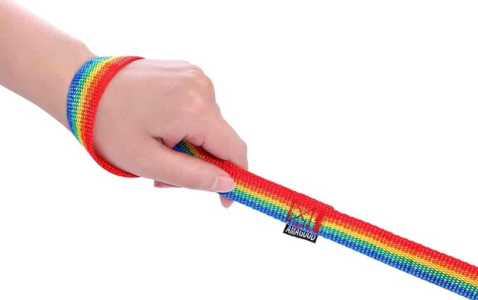 AMAGOOD 6 FT Puppy/ Dog Leash, Strong and Durable Traditional Style Leash with Easy to Use Collar Hook, Great for Small and Medium Dogs (3/4 in x 6 ft(Pack of 1), Rainbow)