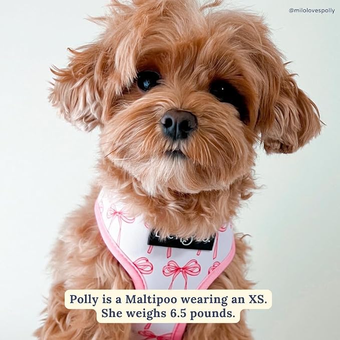 Lucy & Co. Reversible Dog Harness - Water-Repellent Neoprene, Dual-Print Design, Easy Swap Style, Adjustable Comfort Fit - Take a Bow Reversible Harness - Medium