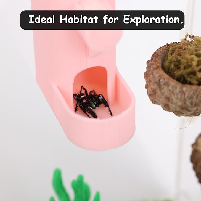 Small Animal Water Feeder, Magnetic Hanging Feeder & Hidden Cave - Accessories for Jumping Spiders, Wolf Spiders, Mantises, Arboreal Animals & Other Small Creatures - 5ML Capacity (Red)