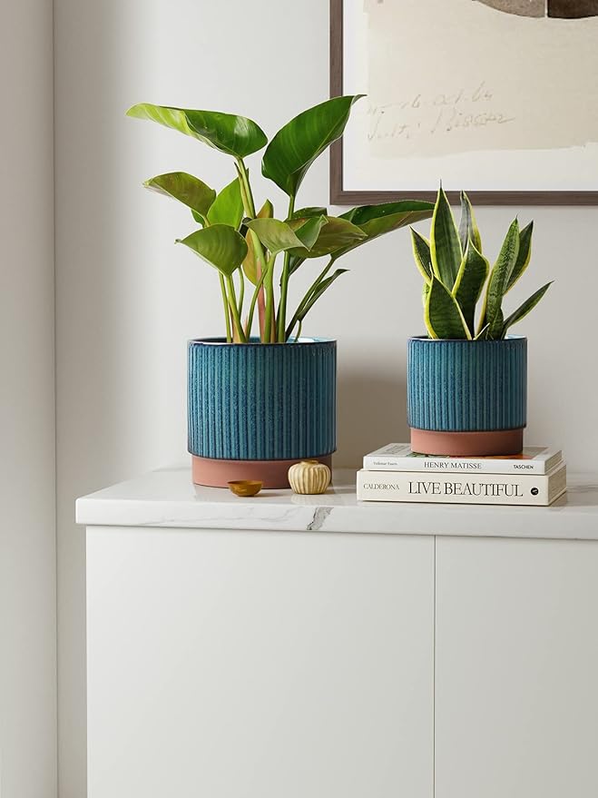 LE TAUCI Ceramic Plant Pots with Drainage Holes, Set of 3, 8+6.7+5.5 Inch Stripe Garden Planter Pots for Outdoor Indoor Plants Flower, Round Succulent Orchid Flower Pot, Reactive Glaze Green