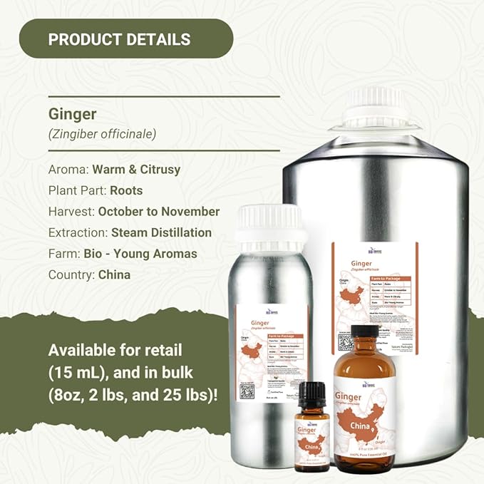 Ginger Essential Oil