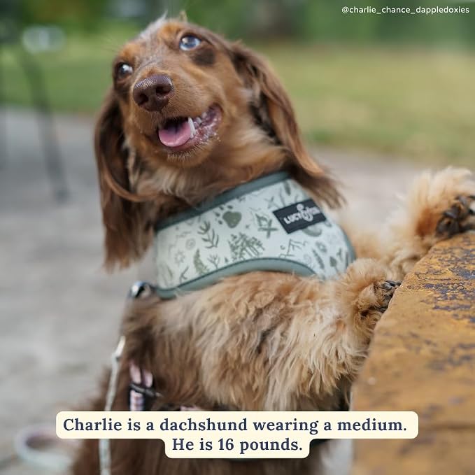 Lucy & Co. Reversible Dog Harness - Water-Repellent Neoprene, Dual-Print Design, Easy Swap Style, Adjustable Comfort Fit - Camp Out Reversible Harness - X-Small