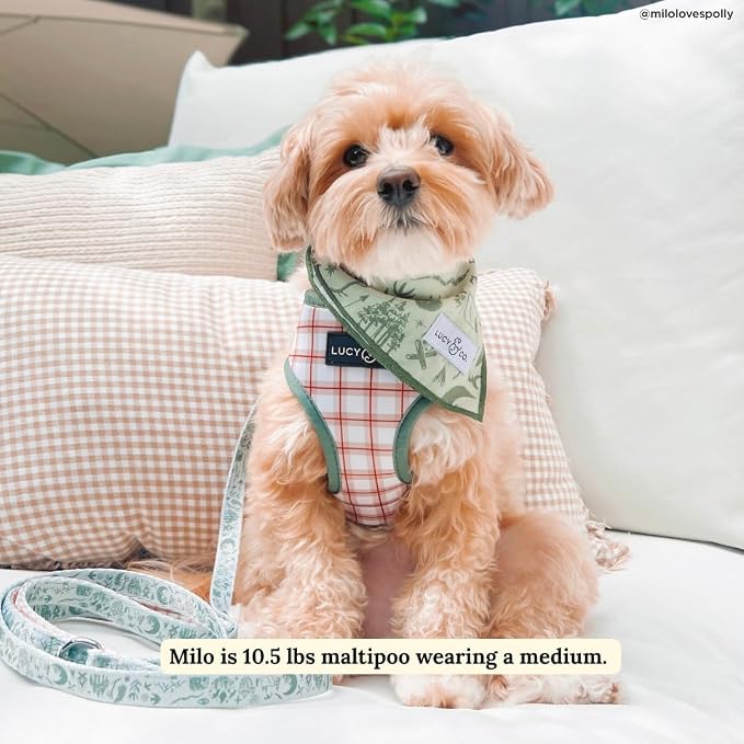 Lucy & Co. Reversible Dog Harness - Water-Repellent Neoprene, Dual-Print Design, Easy Swap Style, Adjustable Comfort Fit - Camp Out Reversible Harness - Large