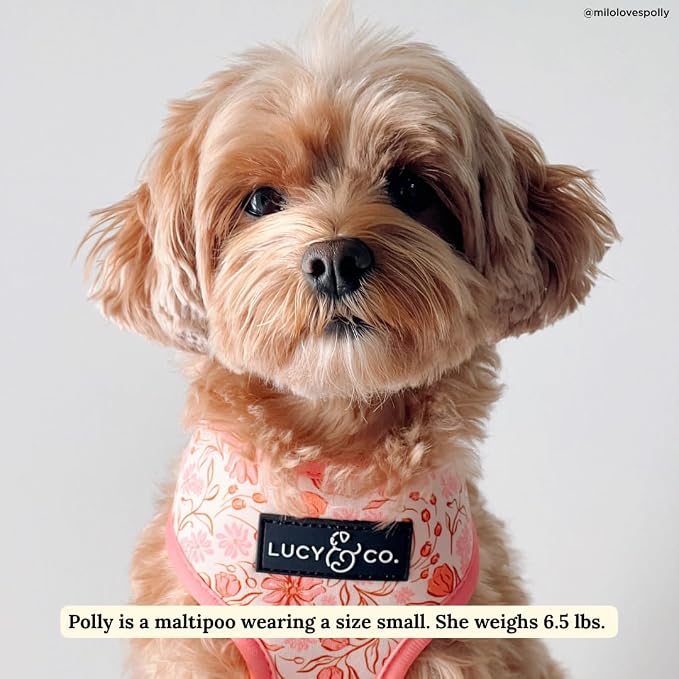 Lucy & Co. Reversible Dog Harness - Water-Repellent Neoprene, Dual-Print Design, Easy Swap Style, Adjustable Comfort Fit - Woodland Wildflowers Reversible Harness - Medium