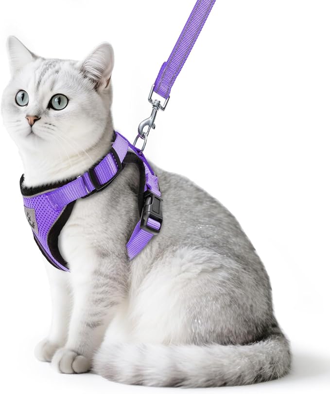 PUPTECK Cat Harness and Leash Set Escape Proof Reflective Cat Walking Harness Adjustable Soft Breathable Mesh Vest for Small Pets, Purple, M
