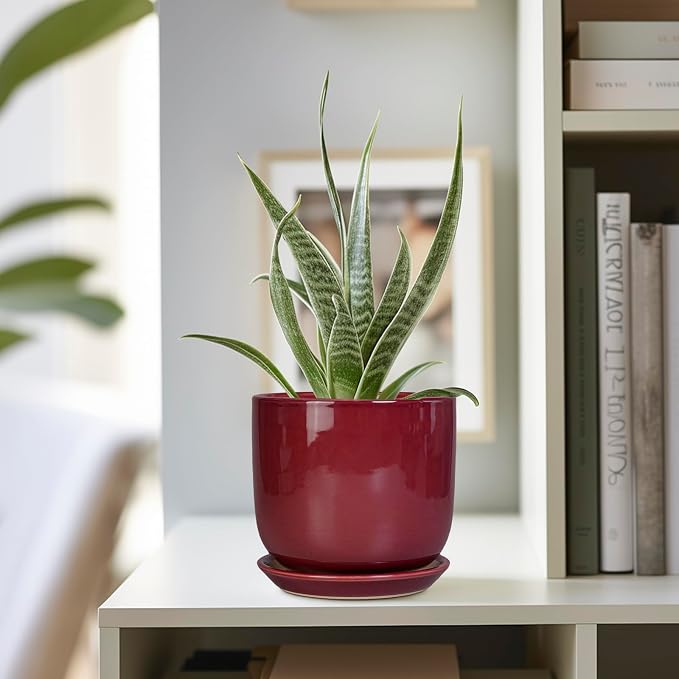 Ceramic Plant Pot - 5 Inch Modern Round Planter for Indoor Plants with Drainage Hole and Saucer, Patio Office House Room Bathroom Decor, Red