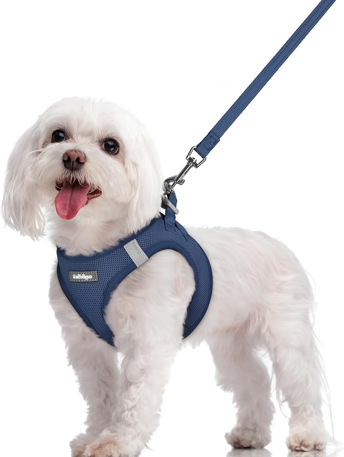 rabbitgoo Dog Harness Small Sized and Leash Set, Step in Soft Light Puppy Vest, Breathable Mesh Pet Harness, Reflective for Safe Outdoor Walking, Navy Blue M