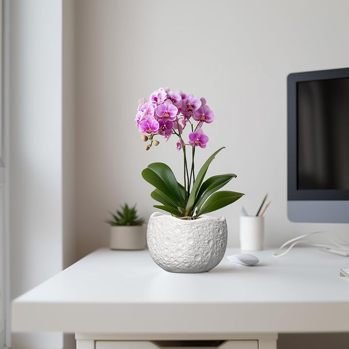 Ceramic Pots for Plants - 6 Inch Plant Pot for Indoor Outdoor, Decorative Orchid Pots with Drainage Hole, Unique Round Modern Planters, Home Decor, Gifts for Plant Lovers, White