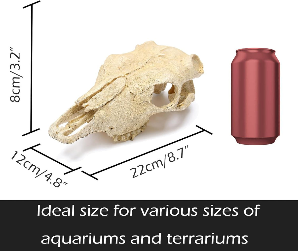 Aquarium Skull Décor Fish Hideout Cave Decorations Betta Tarantula Reptile Snake for Terrarium Ornament Dinosaur Animal Large Bones Halloween