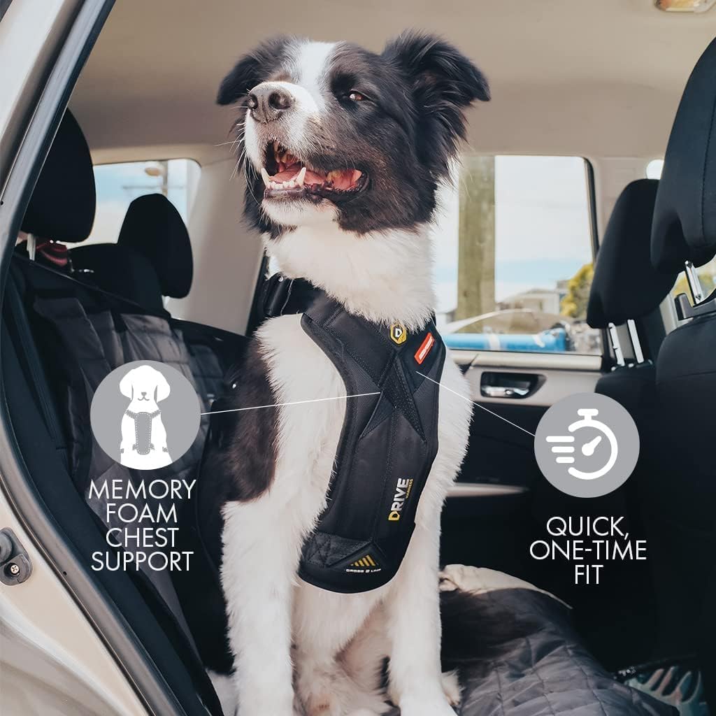 EzyDog Drive Dog Car Harness – Crash Tested and Certified (US-FMVSS 213) Dog Seat Belt Harness for Safe Travel, Adjustable with Padded Comfort (Small)