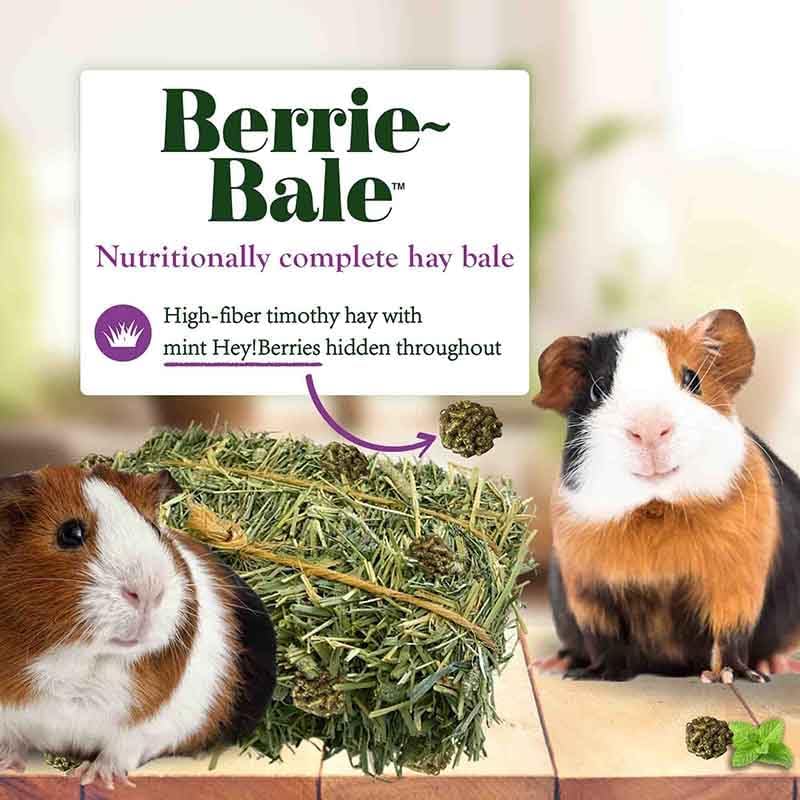 LAFEBER'S Berrie-Bale Mint for Guinea Pigs 1 lb