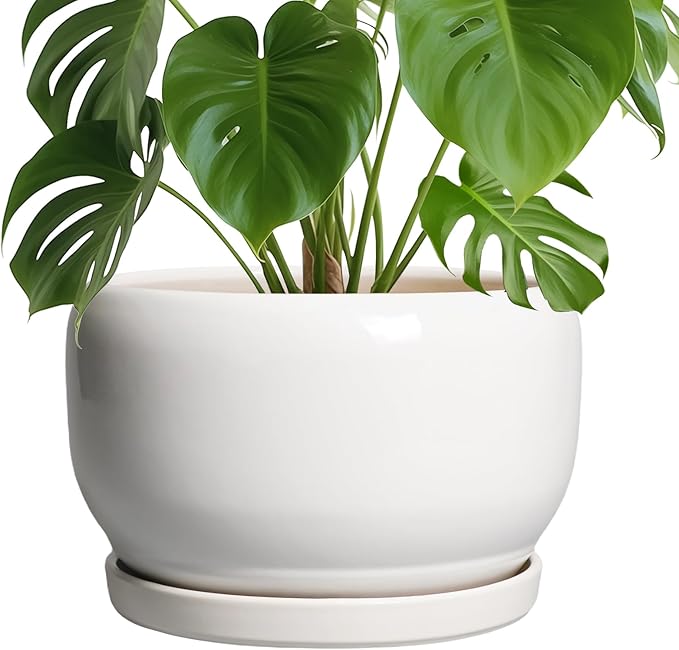 SQOWL Ceramic Pot for Plants - 10 Inch Planter with Drainage Hole and Saucer, Round Ceramic Flower Pot for Indoor Outdoor, Modern Decorative Large Planter, Patio Decor, Gifts for Plant Lovers, White
