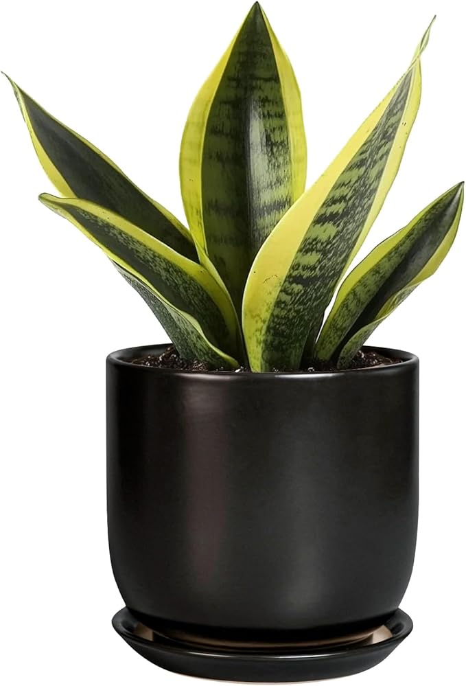 Ceramic Pot for Plants 5 Inch - Modern Round Indoor Planter for Cactus Succulent Plants with Drainage Hole and Saucer, Home Room House Office Decor, Black