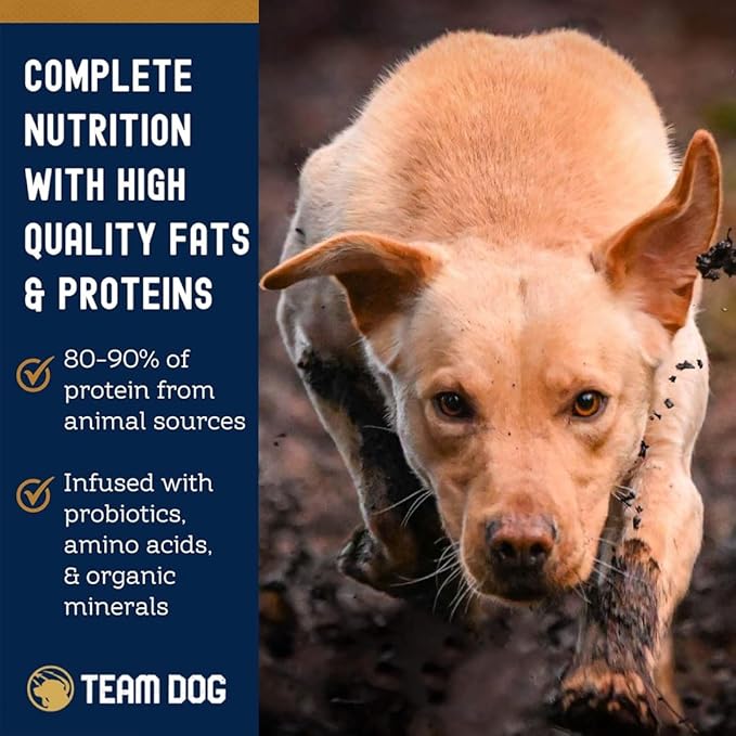 Team Dog Essential Blend Premium Herring & Salmon Dog Food | Sensitive Stomach Dog Food | Gluten & GMO Free, No Corn, Wheat, No Soy Chicken Free | All Life Stage Formula (33 lb)