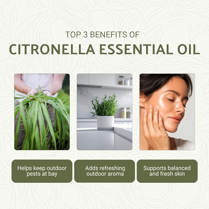 Citronella Essential Oil