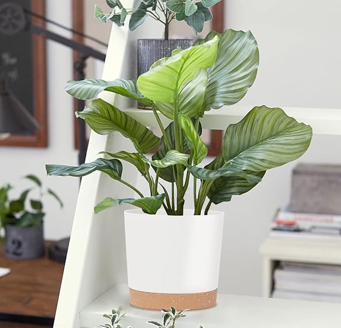 kubvici Indoor Plant Pots Planters 8 inch Plastic Planter with Hole & Saucer Flower Pots Modern Decorative for Outdoor Garden Home (White x 3 Pack)