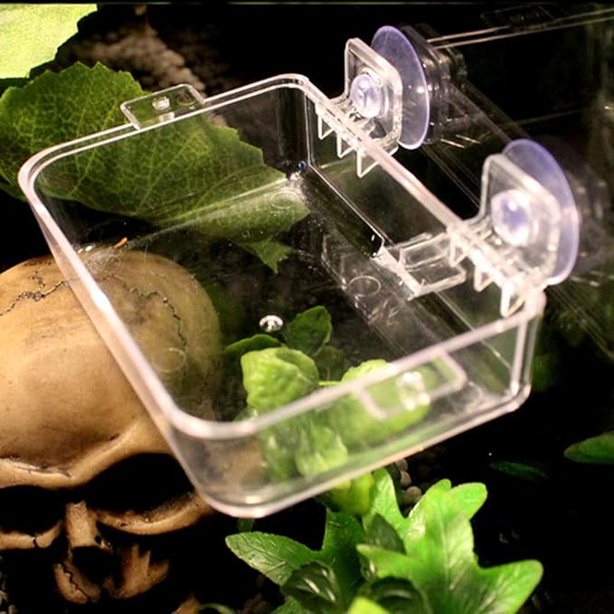 Reptile Feeder Chameleon Bowl 2 Pcs Anti-Escape Food Dish Bowl with Suction Cup for Chameleon Iguana Lizard Reptile Food and Water Feeding (White, S)