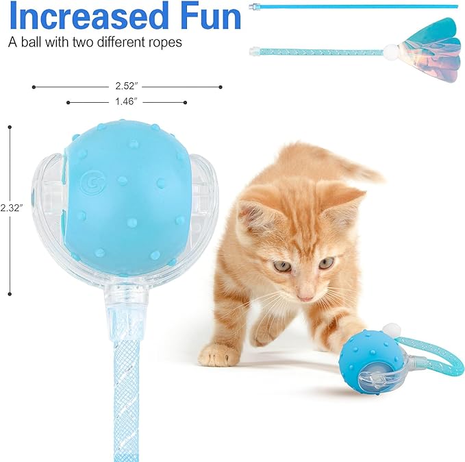 Interactive Cat Toys Ball for Indoor Cats, Automatic Agile Rolling Cat Ball with Elastic Mesh Tail, Bird Chirping & Motion Activated, 2 Tail Accessories, Kitten Toy for Bored (Blue)
