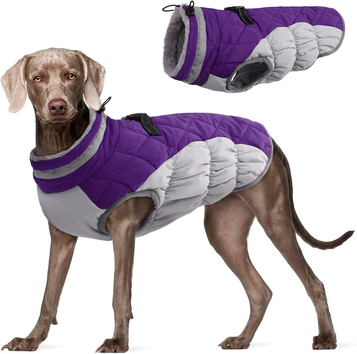 FUAMEY Dog Coat for Large Dogs,Waterproof Dog Winter Jacket with Harness Built in Puppy Cold Weather Coats Reflective Pet Vest with Zipper Warm Fleece Dogs Snowsuit Windproof Purple XXL