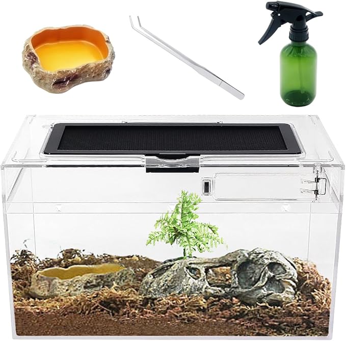 Mini Reptile Terrarium Set,12" x 7"x 6" Low Reptile Tank with Full View Visually Appealing，for Insect，Fish，Tarantula，Hermit Crab，Jumping Spider，Iguana，Tortoise，Leopard Gecko，Frog，Bearded Dragon