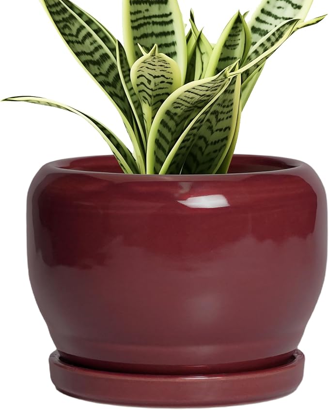 SQOWL 6 Inch Plant Pot - Ceramic Planter for Indoor Plants Outdoor, Round Planter with Drainage Hole and Saucer, Decorative Modern Small Flower Pots, Room Decor, Gifts for Plant Lovers, Red