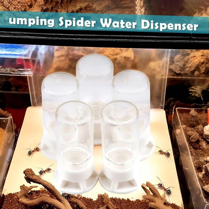 5 Pcs Jumping Spider Ant Water Feeder Bee Plastic Water Feeding Tarantula Water Bowl Spider Feeder (Capacity: 20ml)