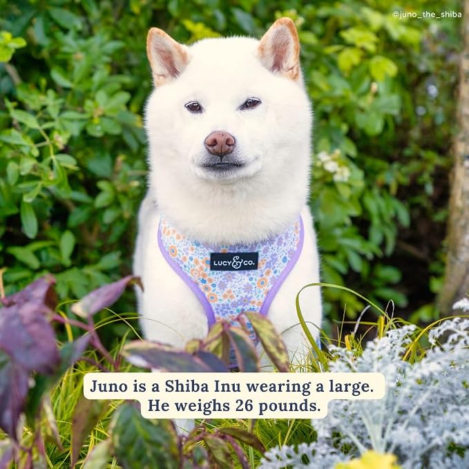 Lucy & Co. Reversible Dog Harness - Water-Repellent Neoprene, Dual-Print Design, Easy Swap Style, Adjustable Comfort Fit - Among Wildflowers Reversible Harness - Small