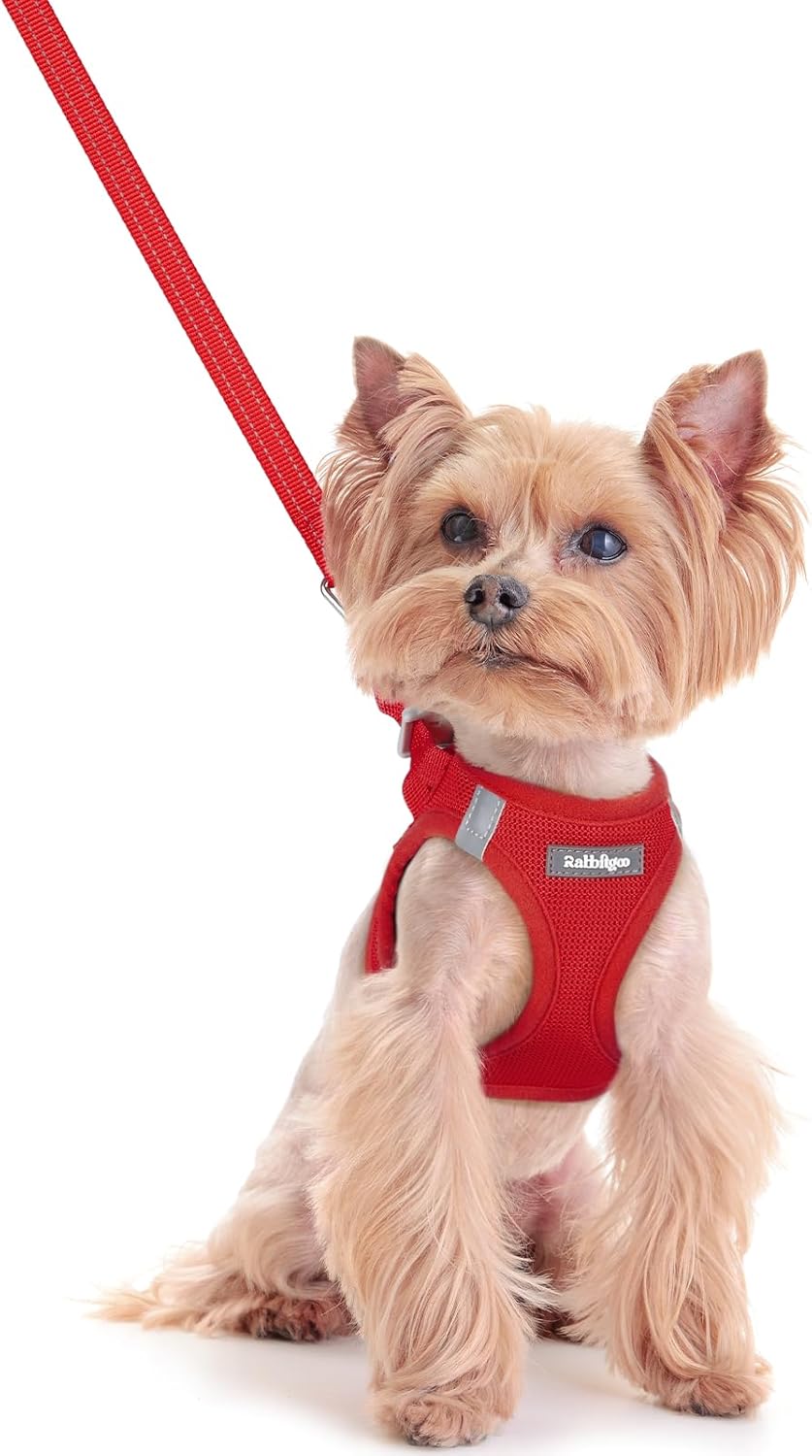 rabbitgoo Dog Harness Small Sized and Leash Set, Step in Soft Light Puppy Vest, Breathable Mesh Pet Harness, Reflective for Safe Easy Walking, Red XXS