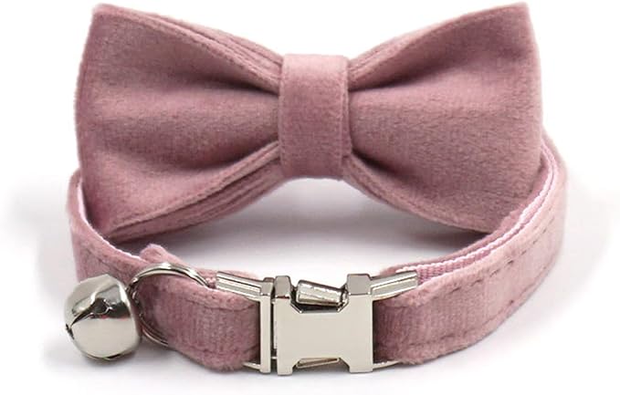 Personalized Cat Collar with Bells,Velvet Customized Small Cat Collar with Name Tag,Pet Collar with Name Phone Number Engraved ID Tags for Boy and Girl Kitten Cats (Champagne Powder)