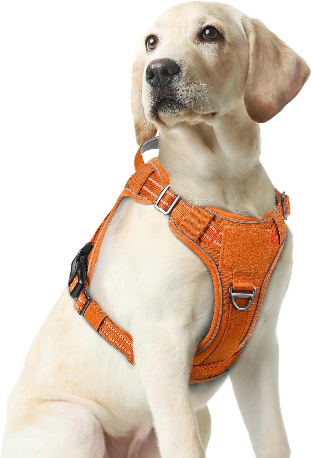 rabbitgoo Dog Harness Medium Sized No Pull, Tactical Service Pet Vest with Molle and Control Handle, Adjustable and Reflective Military Harness for Easy Walking and Training, Orange, M