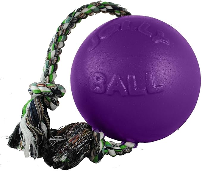 Jolly Pets Romp-n-Roll Rope and Ball Dog Toy, 4.5 Inches/Small, Blue (645 BL), for Small Breeds