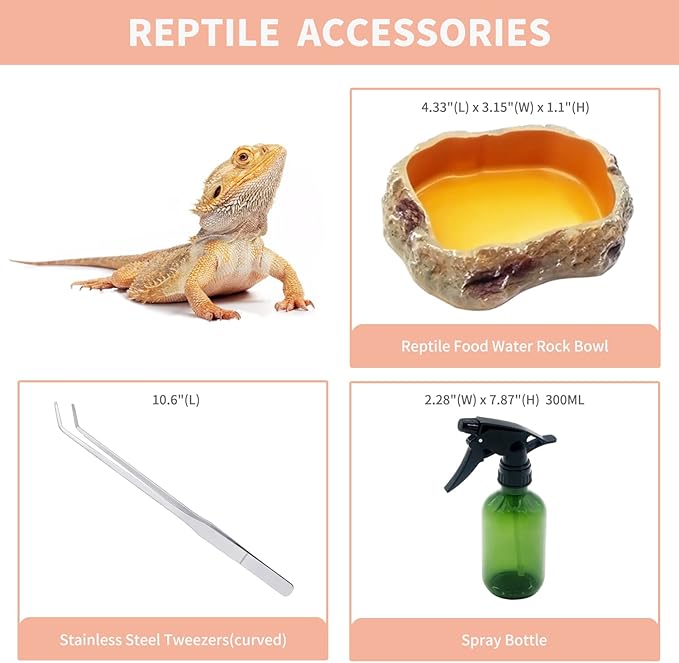 Reptile Growth Reptile Terrarium,10 Gallon Reptile Tank 20" x 10"x 11",for Insect，Fish，Tarantula，Hermit Crab，Jumping Spider，Iguana，Tortoise，Leopard Gecko，Bearded Dragon