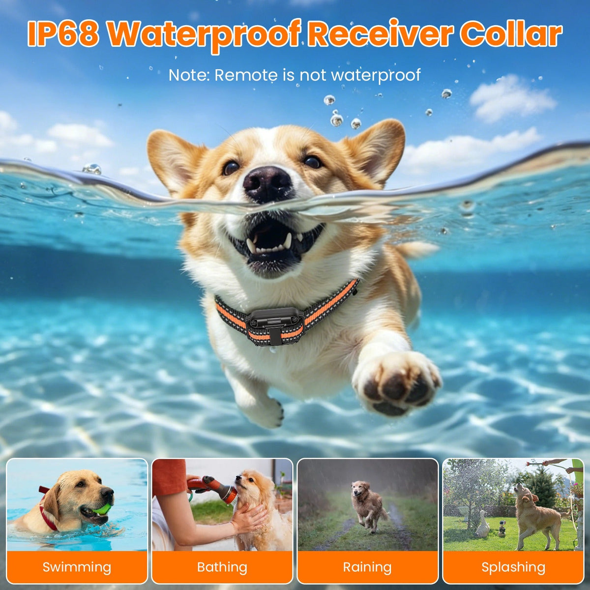 Dog Training Collar With Remote