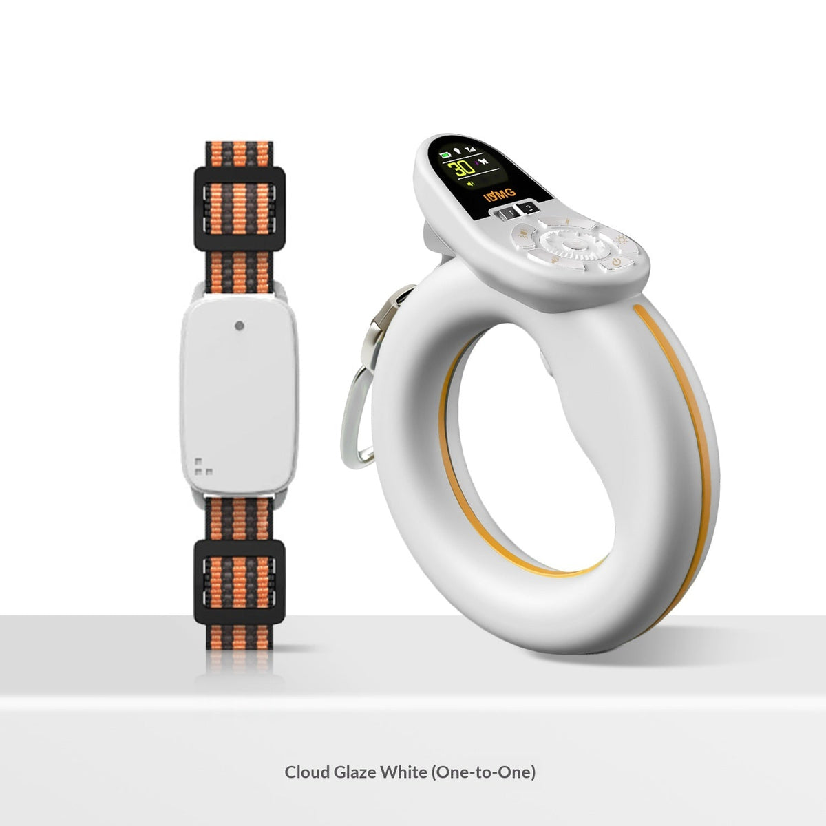 Smart Control Leash